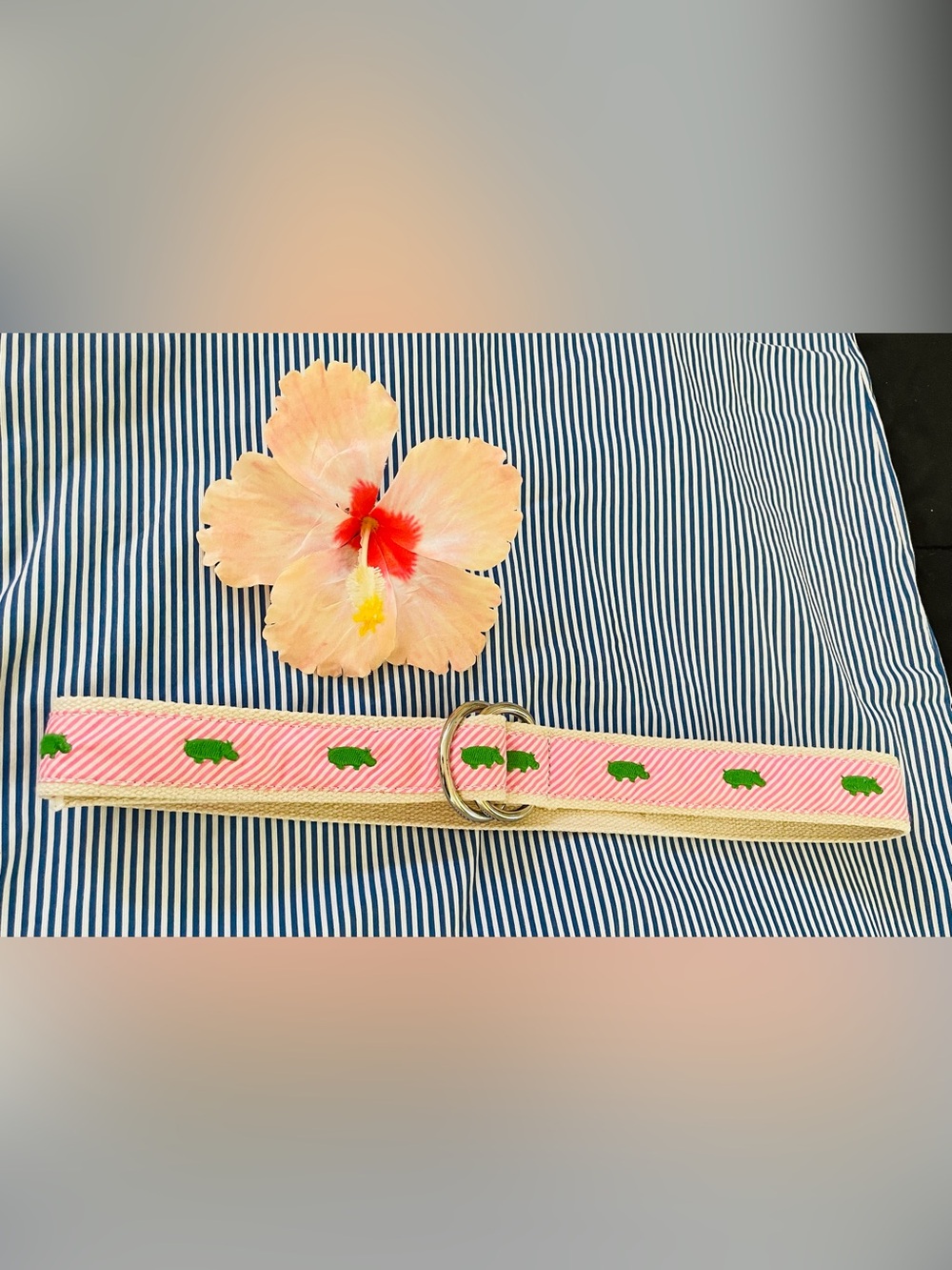 J. Crew Pink Striped Belt with Green Embroidered Hippo and Silver Rings - Picture 12 of 14